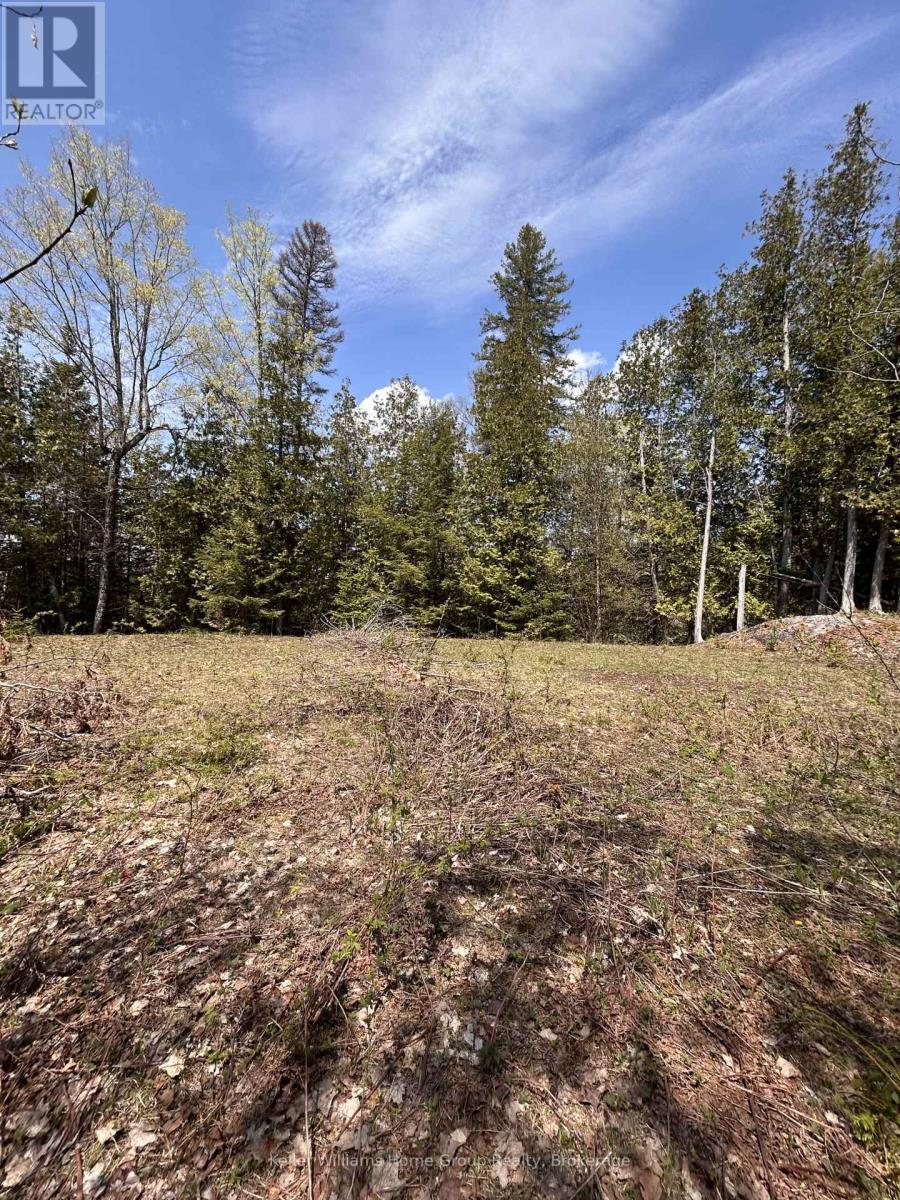 0 Highway 118, Faraday, Ontario  K0L 1C0 - Photo 12 - X13153456