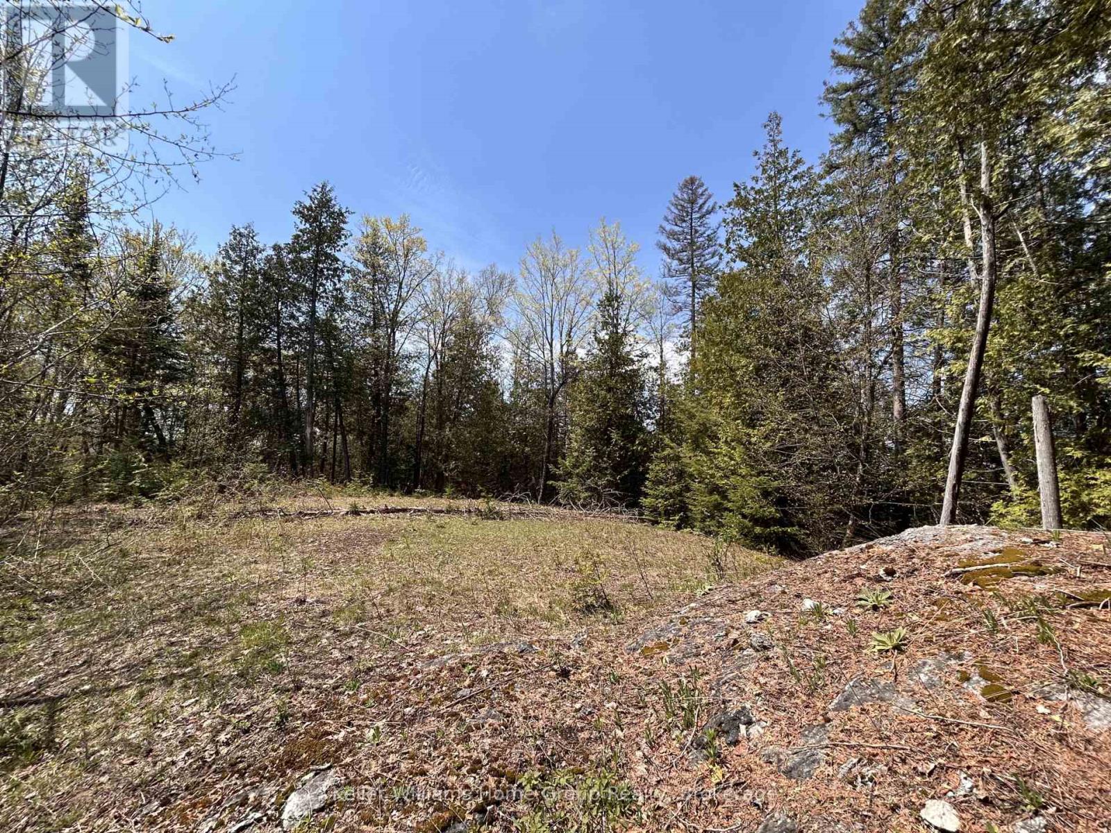 0 Highway 118, Faraday, Ontario  K0L 1C0 - Photo 10 - X13153456