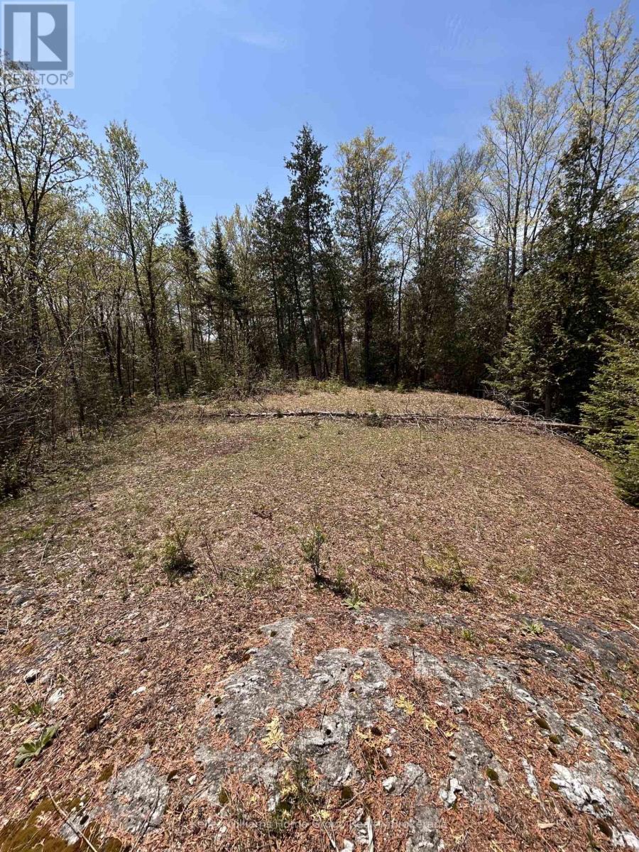 0 Highway 118, Faraday, Ontario  K0L 1C0 - Photo 2 - X13153456