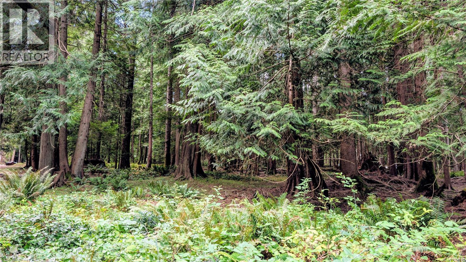 1685 Hess Rd, Gabriola Island, British Columbia  V0R 1X6 - Photo 14 - 1044743
