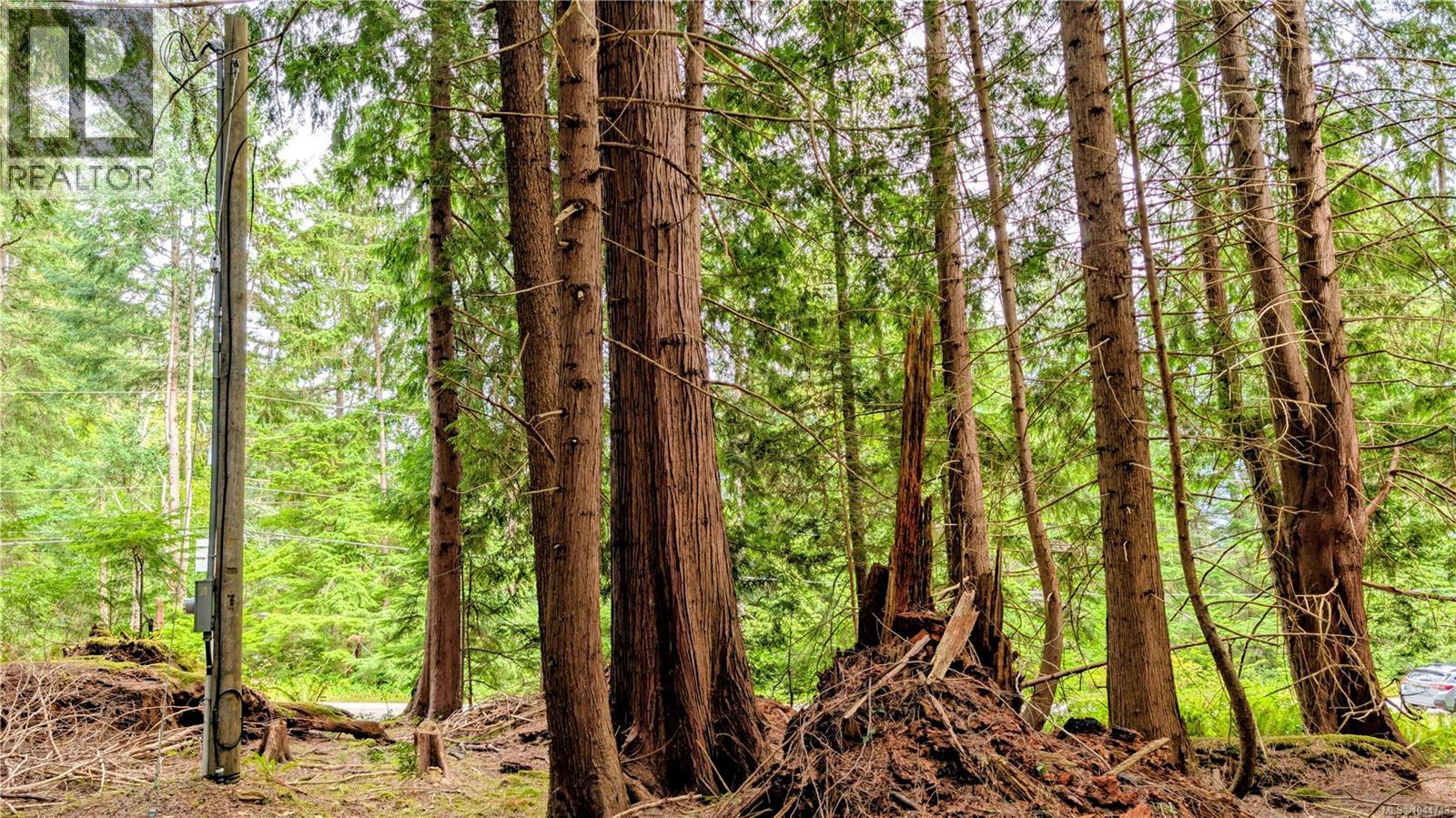 1685 Hess Rd, Gabriola Island, British Columbia  V0R 1X6 - Photo 18 - 1044743