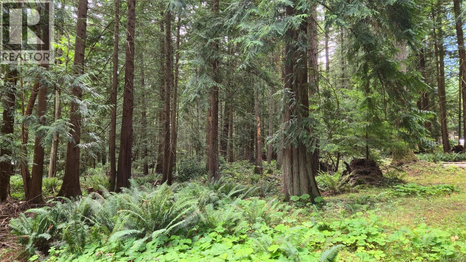 1685 Hess Rd, Gabriola Island, British Columbia  V0R 1X6 - Photo 22 - 1044743