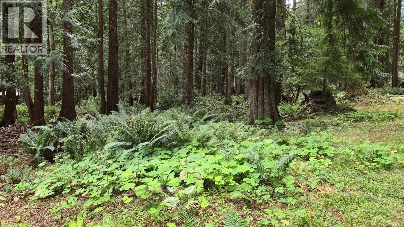 1685 Hess Rd, Gabriola Island, British Columbia  V0R 1X6 - Photo 23 - 1044743