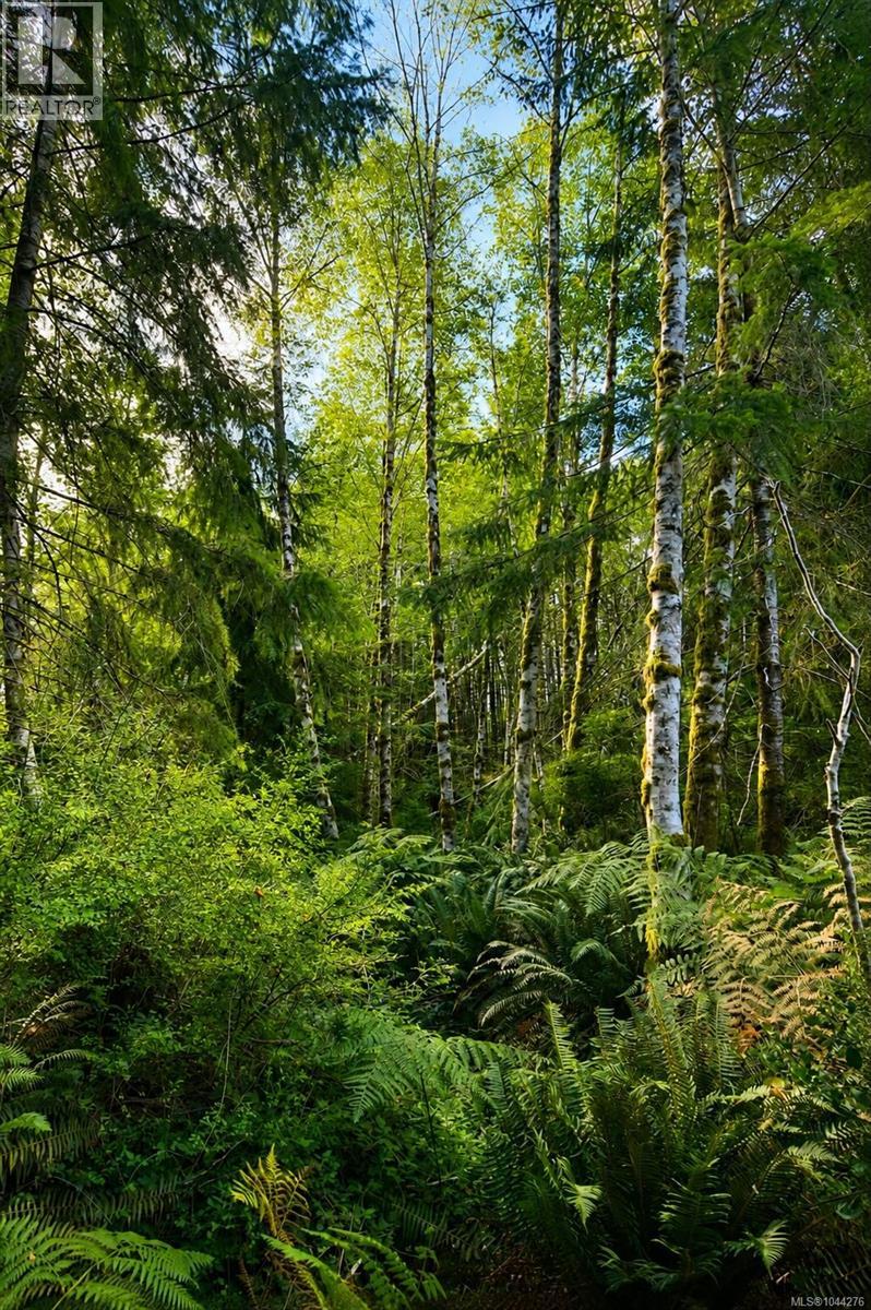 Lot 4 Harbourbrook Rd, Quadra Island, British Columbia V0P 1N0 - Photo 5 - 1044276