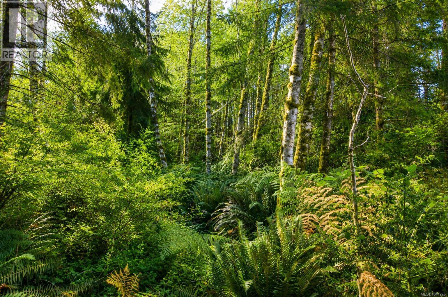Lot 4 Harbourbrook Rd, Quadra Island, British Columbia V0P 1N0 - Photo 6 - 1044276