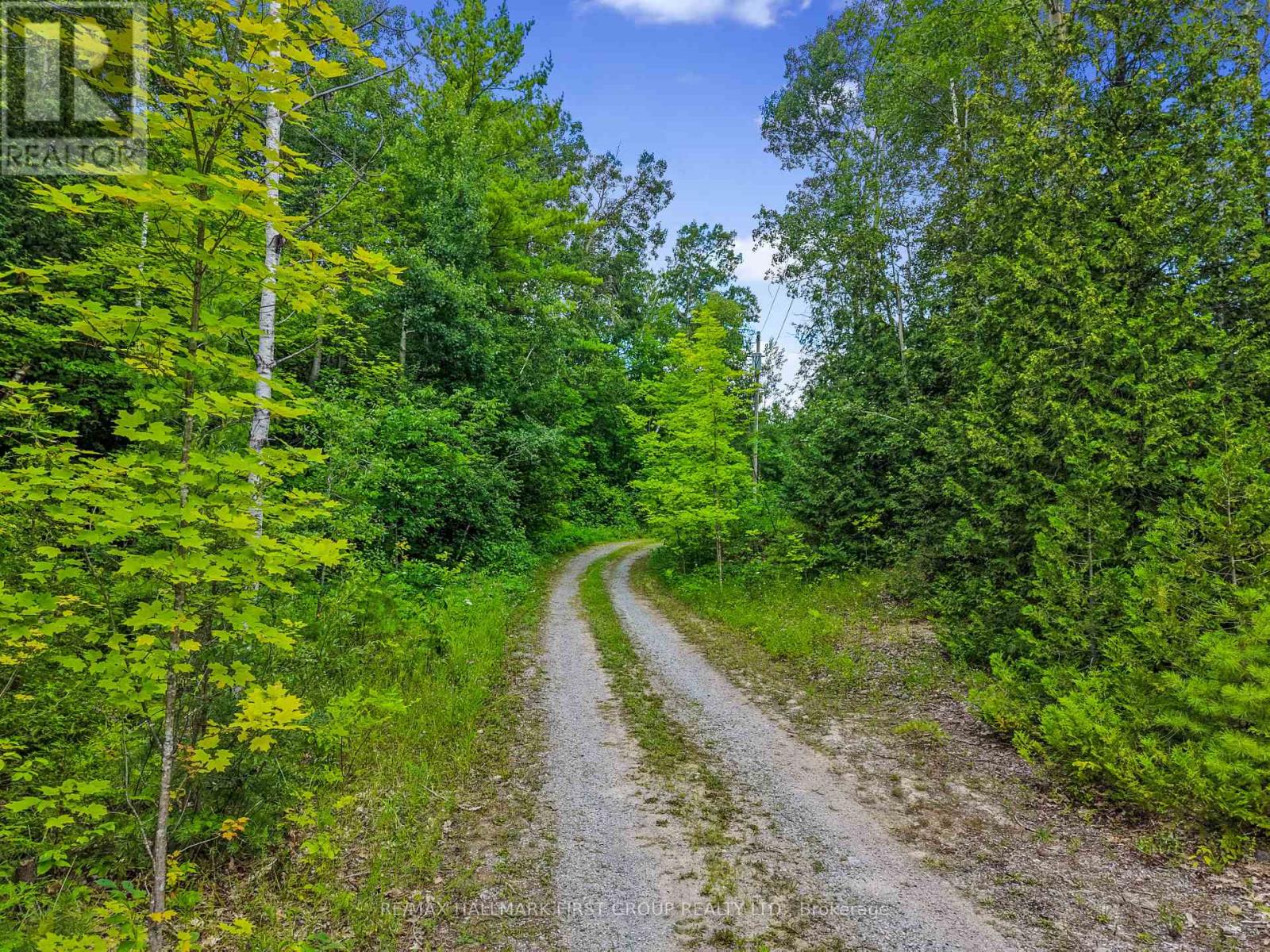 11758 County 29 Road, Alnwick/haldimand, Ontario  K0K 2X0 - Photo 47 - X13626966