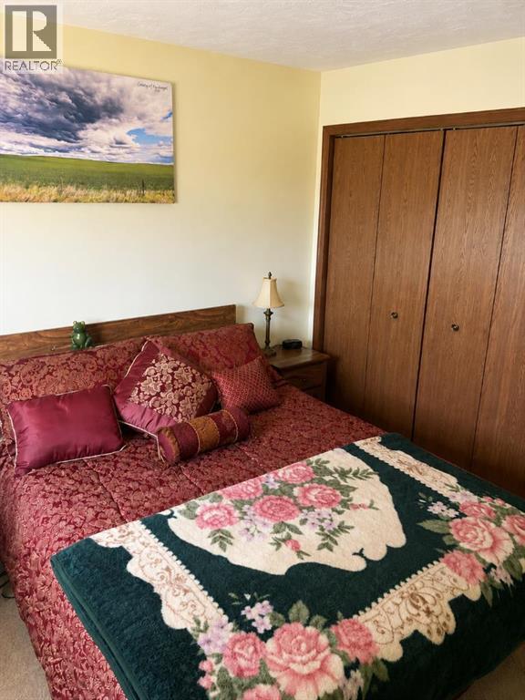 110 Howard Street, Halkirk, Alberta  T0C 1M0 - Photo 15 - A2333922