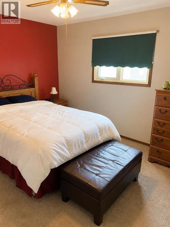 110 Howard Street, Halkirk, Alberta  T0C 1M0 - Photo 14 - A2333922