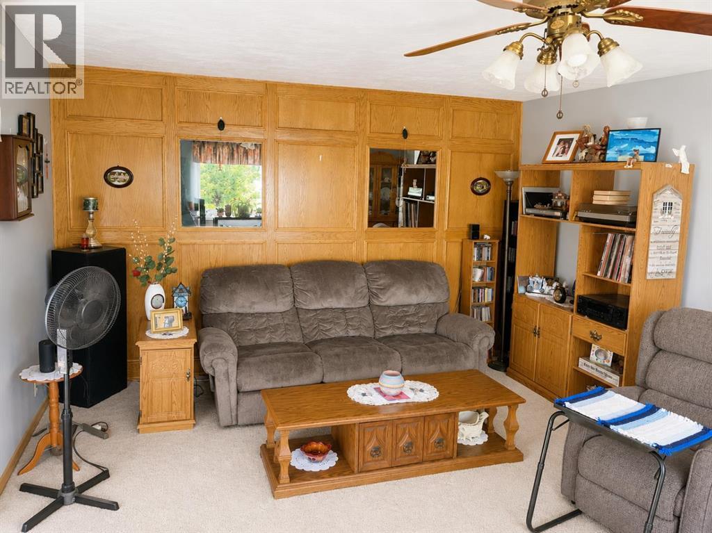 110 Howard Street, Halkirk, Alberta  T0C 1M0 - Photo 8 - A2333922