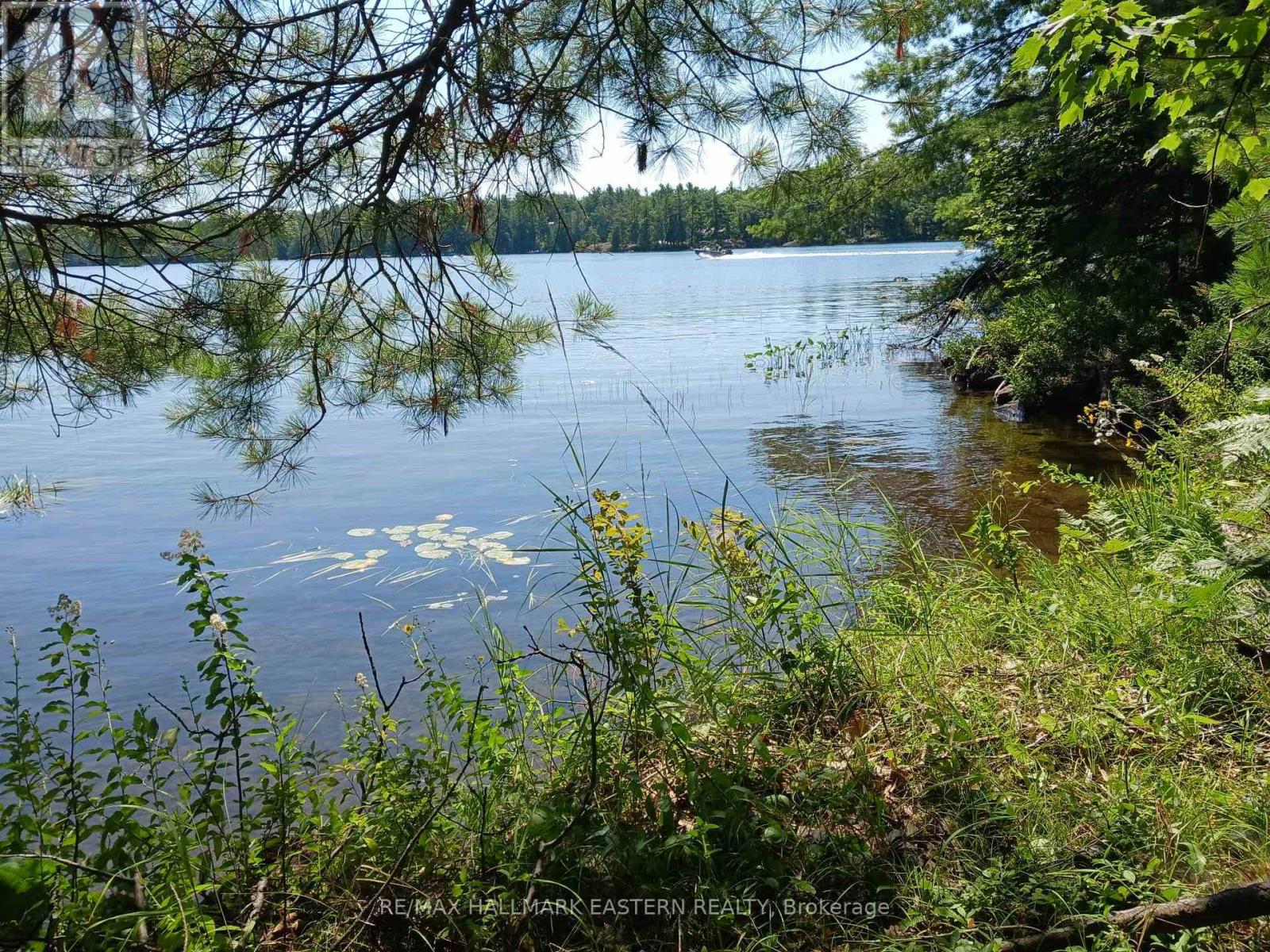 15 Fire Route 92a, Havelock-Belmont-Methuen, Ontario  K0L 2H0 - Photo 2 - X13627044