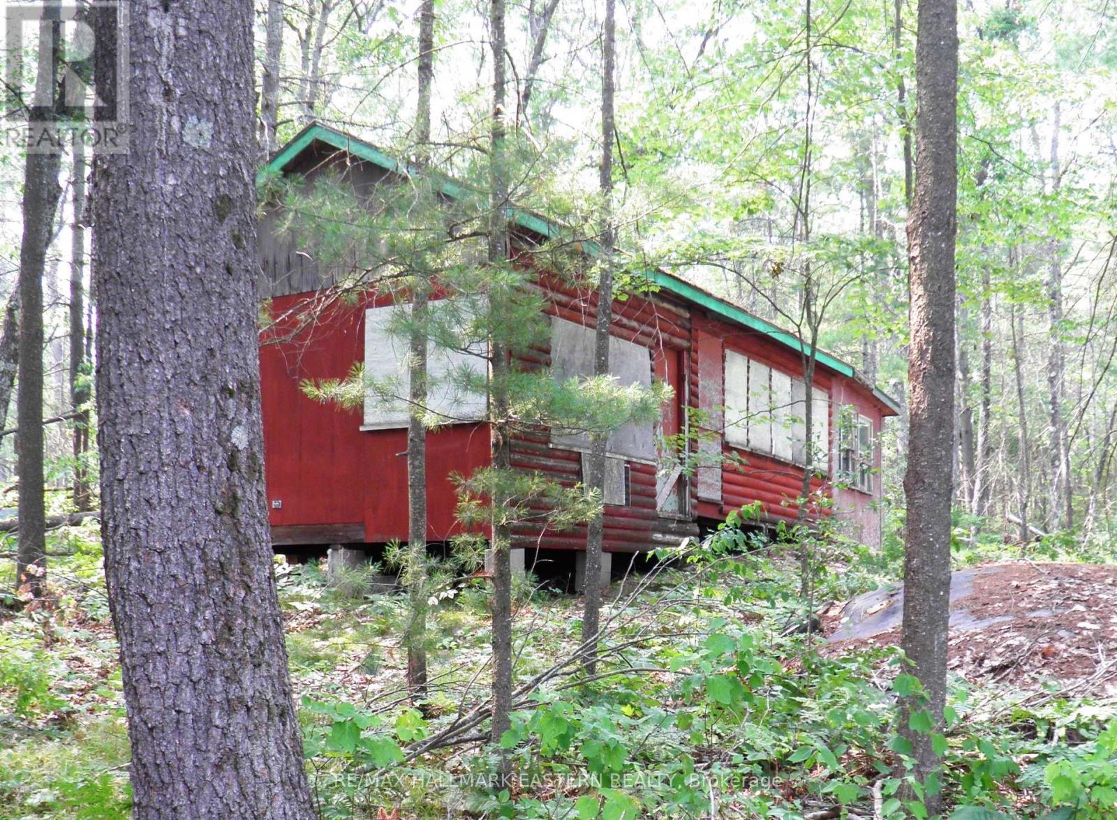 15 Fire Route 92a, Havelock-Belmont-Methuen, Ontario  K0L 2H0 - Photo 4 - X13627044