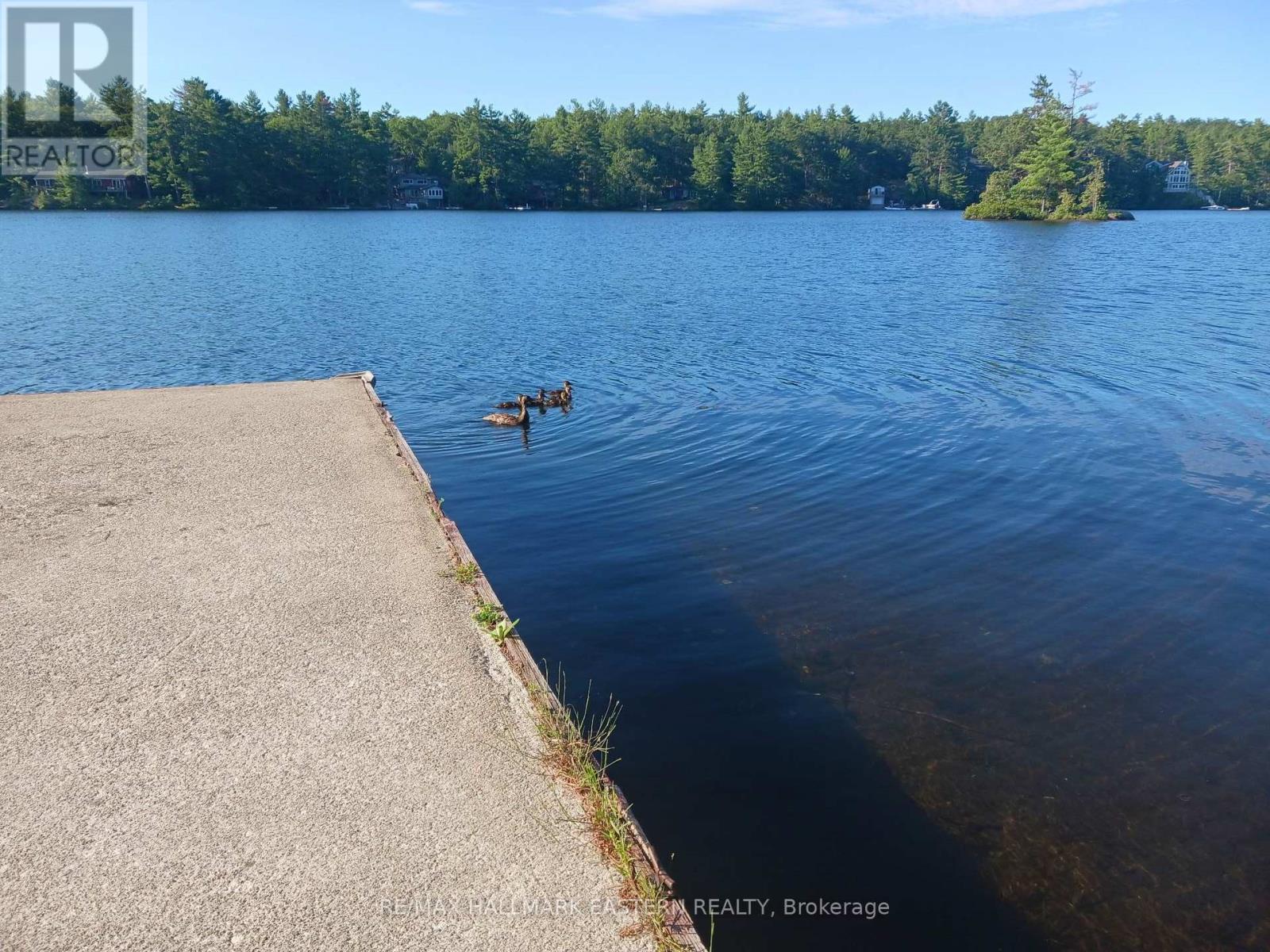 17 Fire Route 92a, Havelock-Belmont-Methuen, Ontario  K0L 2H0 - Photo 24 - X13627102