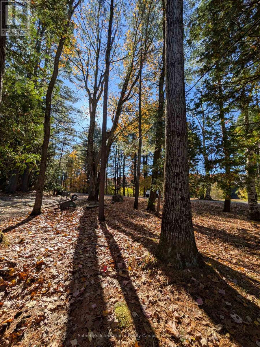 1063 Whiteside Road, Muskoka Lakes, Ontario  P0B 1J0 - Photo 29 - X12513662