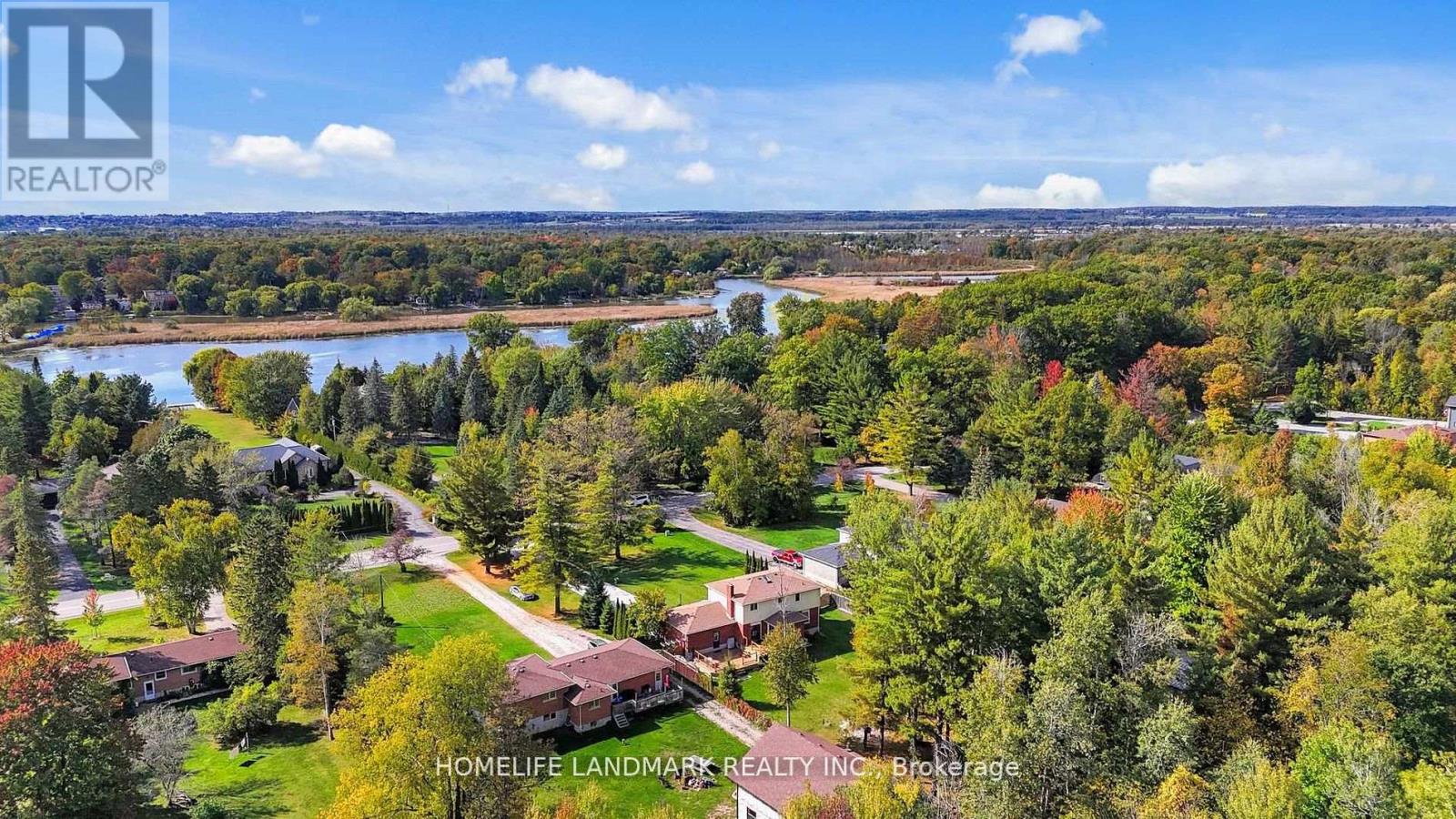 20573 Yonge Street, East Gwillimbury, Ontario  L3Y 4V8 - Photo 3 - N13627030