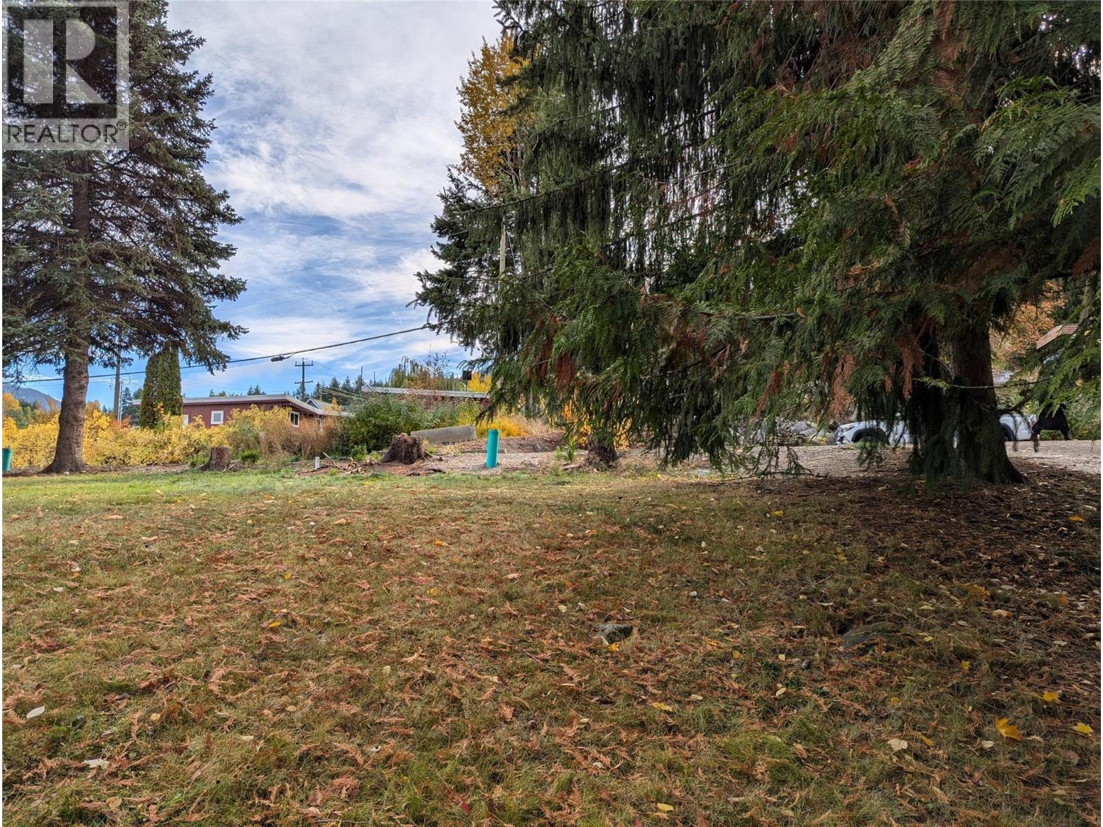 802 Gore Street W, Nelson, British Columbia V1L 1A1 - Photo 8 - 10396439