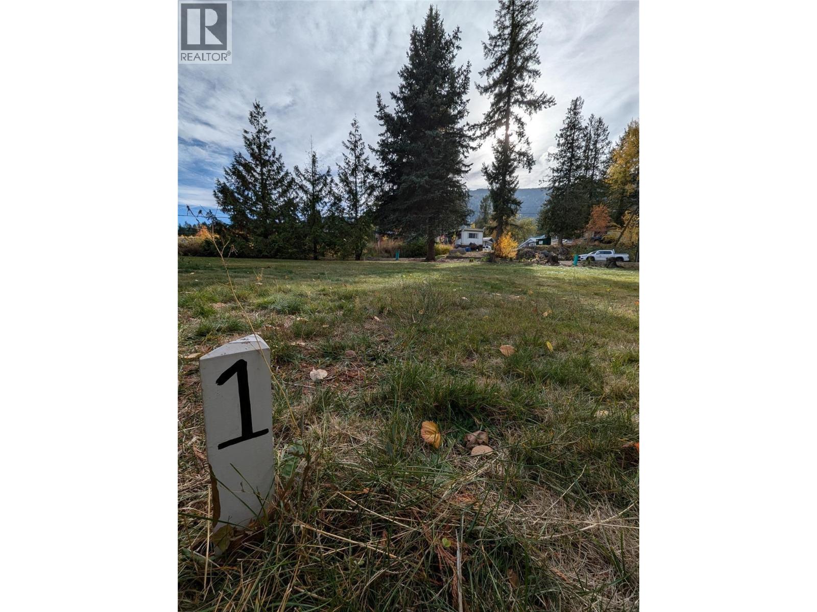 802 Gore Street W, Nelson, British Columbia V1L 1A1 - Photo 9 - 10396439