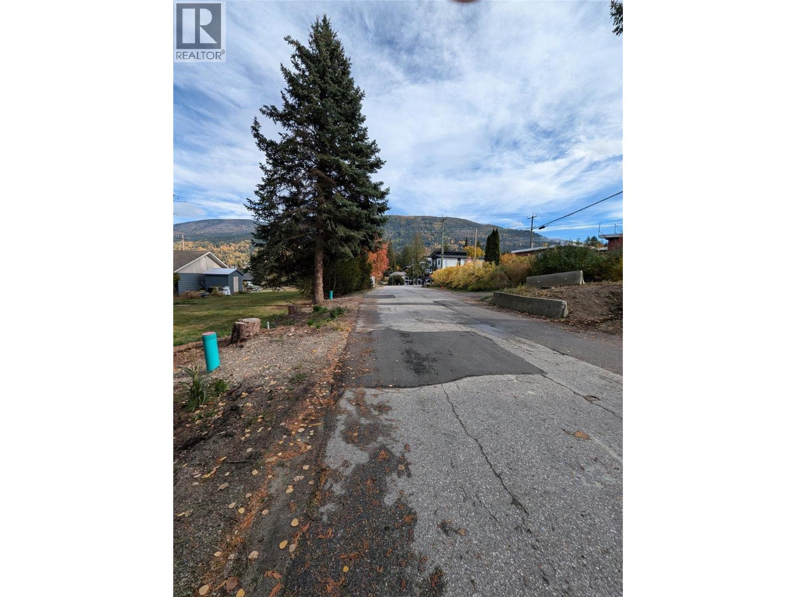 802 Gore Street W, Nelson, British Columbia V1L 1A1 - Photo 11 - 10396439