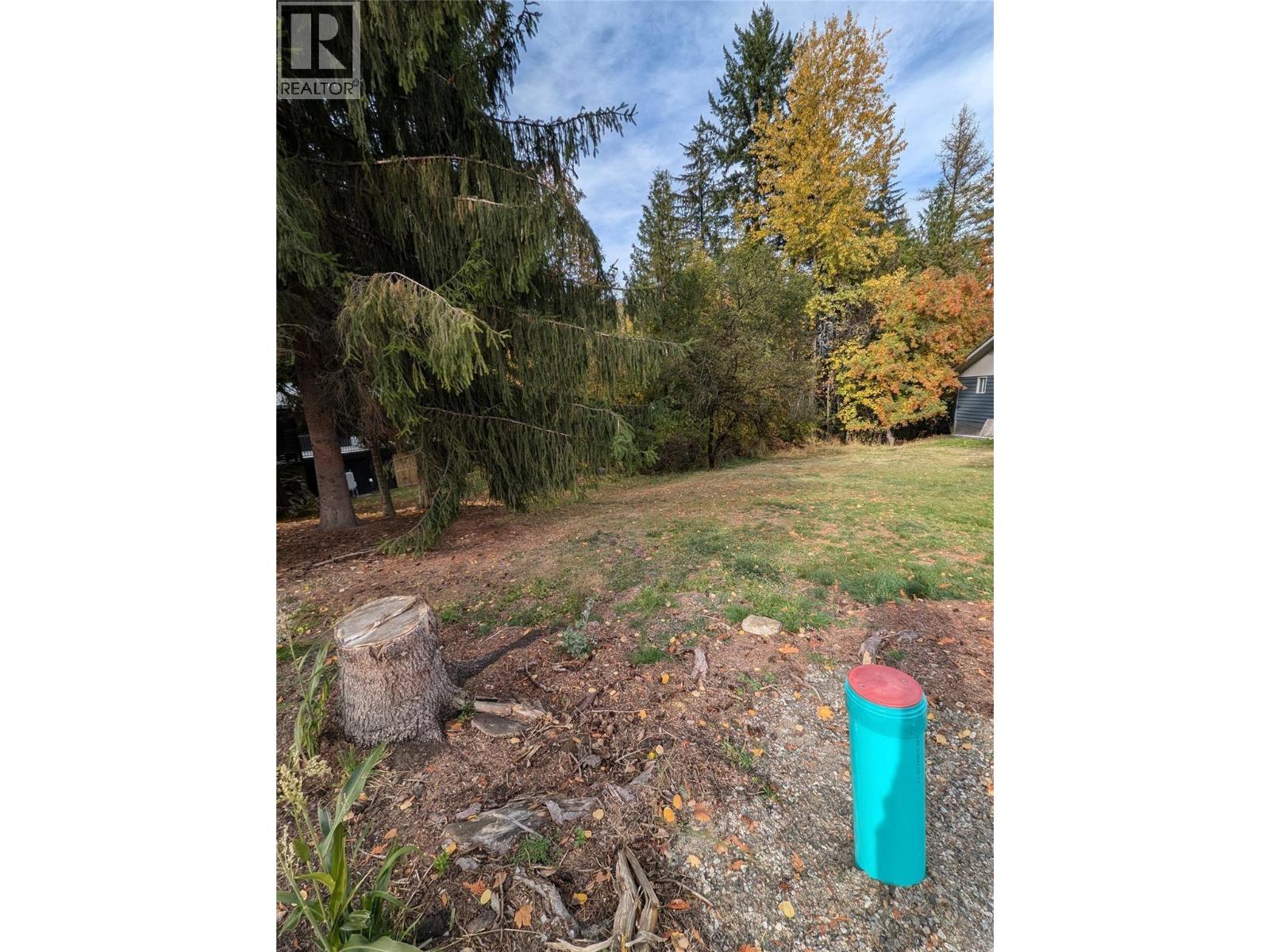 802 Gore Street W, Nelson, British Columbia V1L 1A1 - Photo 6 - 10396439