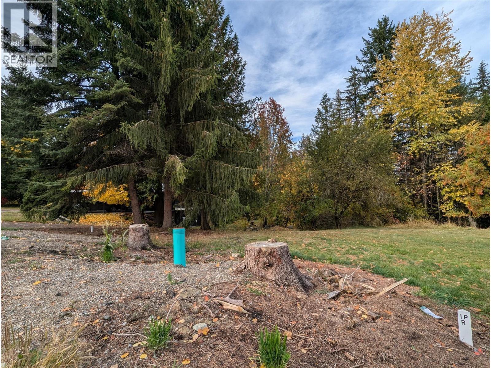 802 Gore Street W, Nelson, British Columbia V1L 1A1 - Photo 5 - 10396439