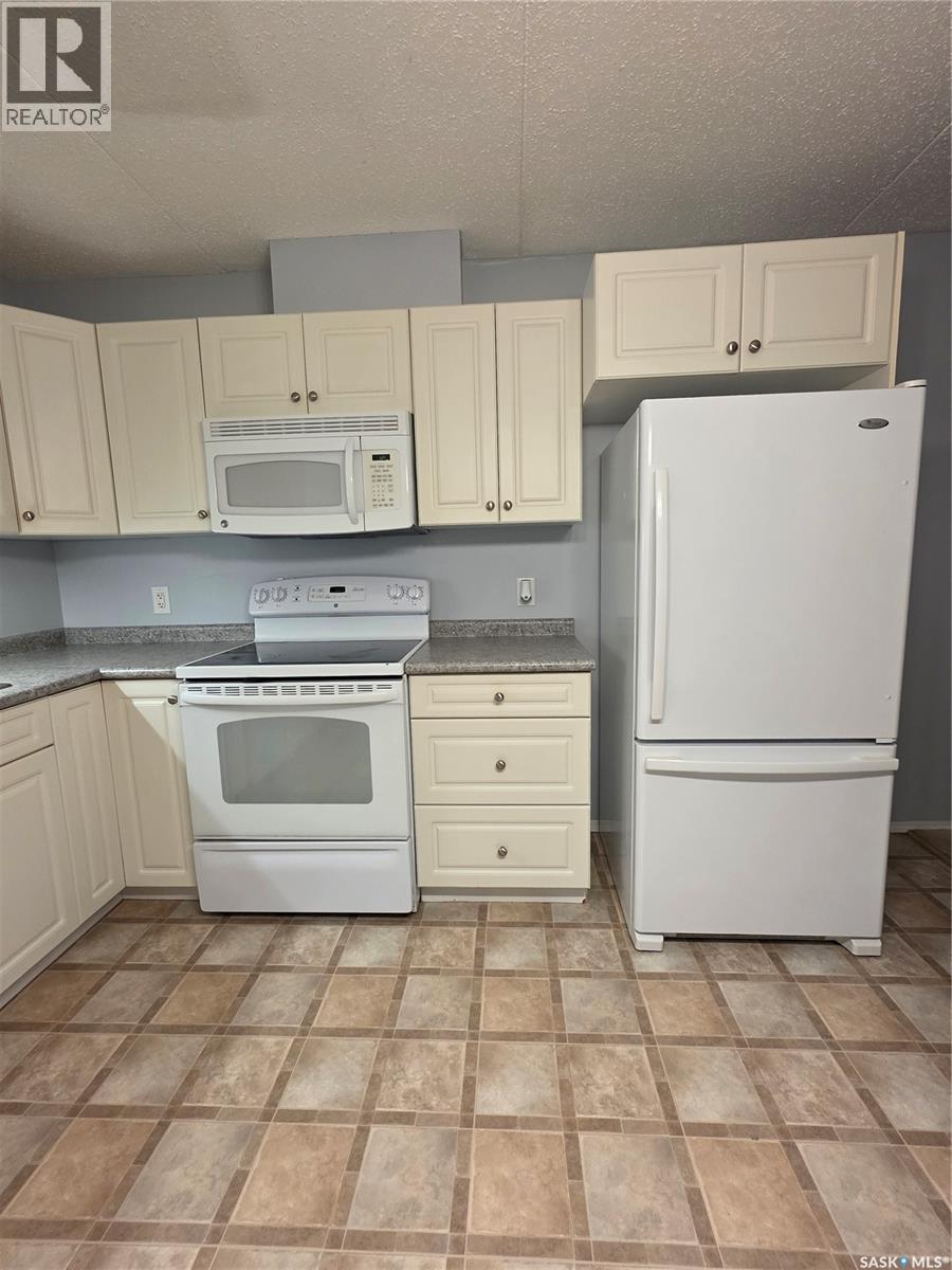205 701 Henry Street, Estevan, Saskatchewan  S4A 2B7 - Photo 6 - SK044251