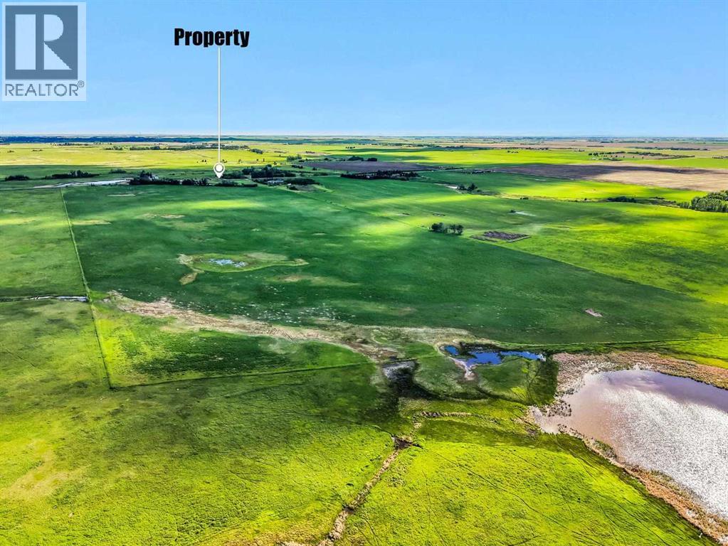 253032 Township Road 244, Strathmore, Alberta  T1P 1H5 - Photo 7 - A2316697