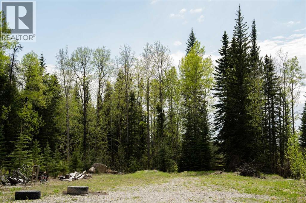 4b-24425 East River Road, Hinton, Alberta  T7V 0A3 - Photo 24 - A2286889
