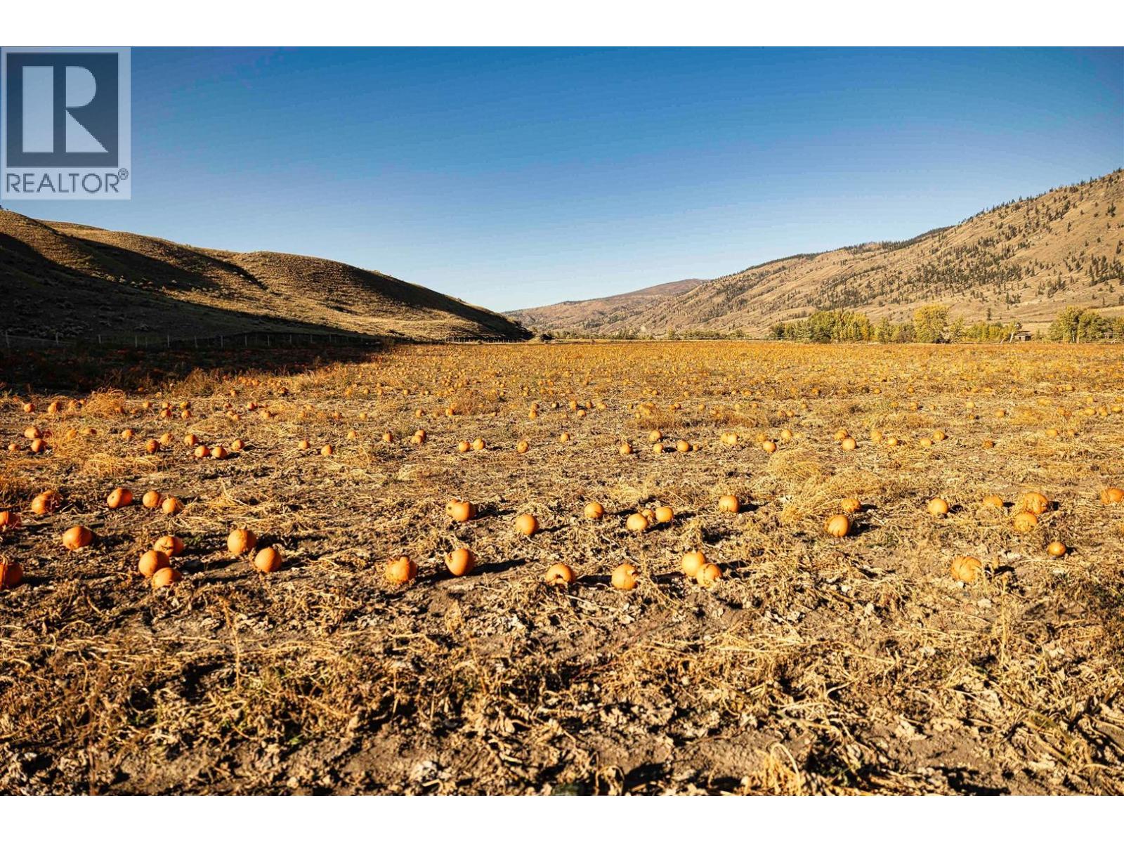 3269 Highway 97 N, Cache Creek, British Columbia V0K 1H0 - Photo 33 - 10396605