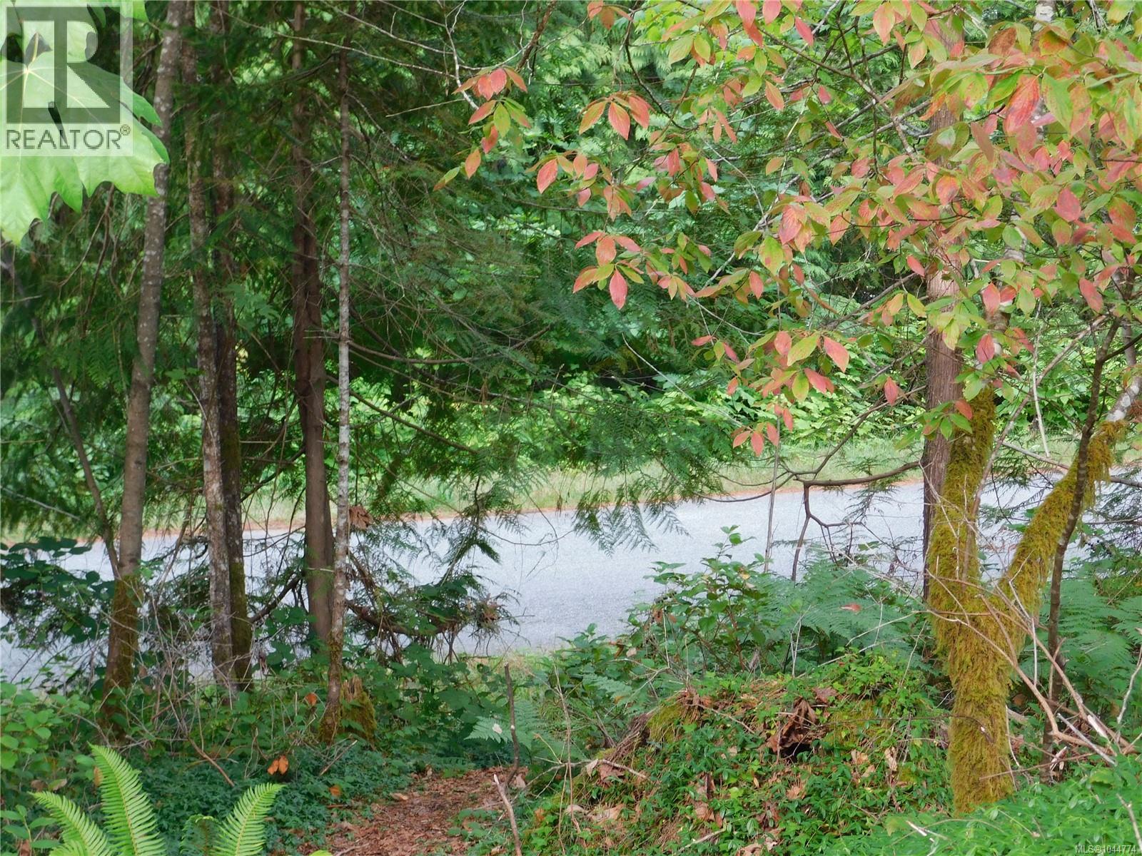 10206 South Dr, Port Alberni, British Columbia  V9Y 9A8 - Photo 8 - 1044774