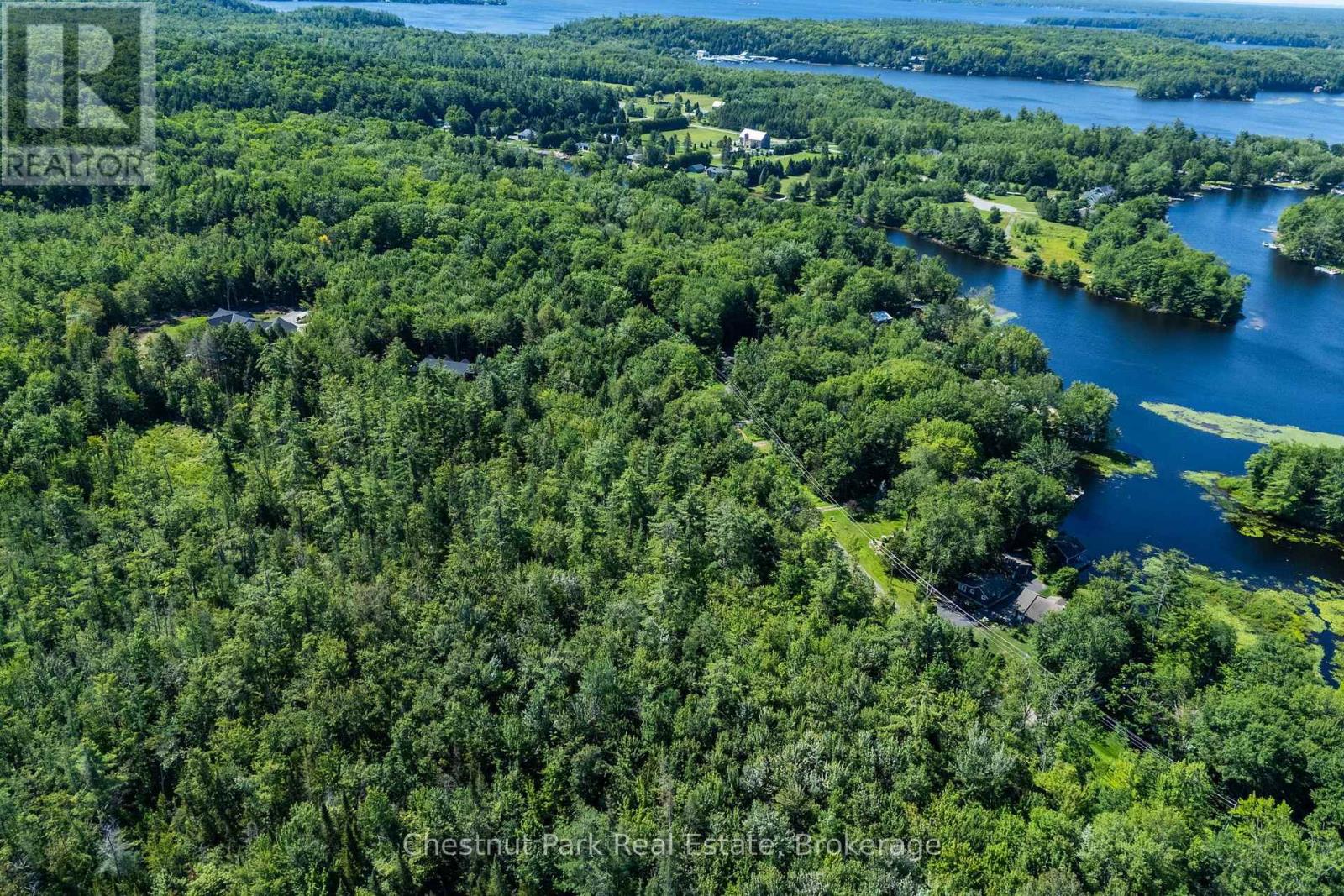 1461 Golden Beach Road, Bracebridge, Ontario  P1L 1W8 - Photo 11 - X13627546