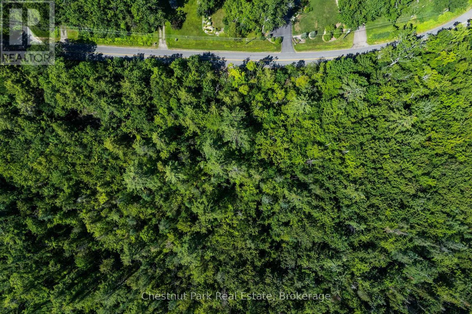 1461 Golden Beach Road, Bracebridge, Ontario  P1L 1W8 - Photo 14 - X13627546
