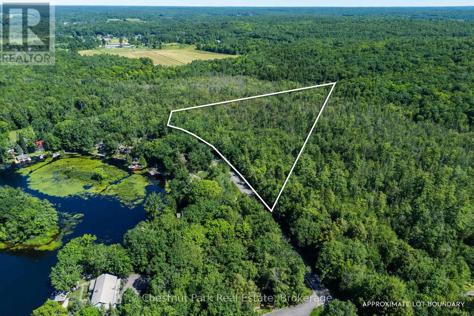 1461 Golden Beach Road, Bracebridge, Ontario  P1L 1W8 - Photo 3 - X13627546