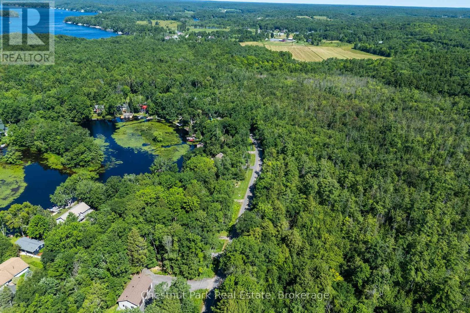 1461 Golden Beach Road, Bracebridge, Ontario  P1L 1W8 - Photo 4 - X13627546