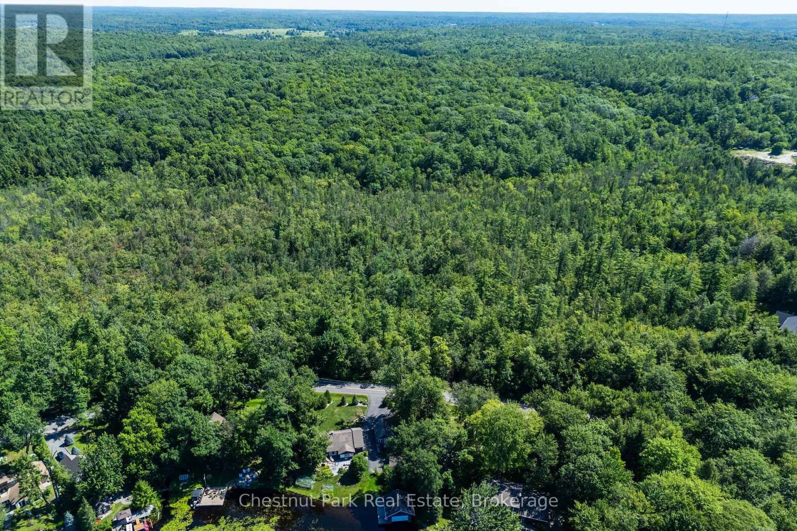 1461 Golden Beach Road, Bracebridge, Ontario  P1L 1W8 - Photo 6 - X13627546