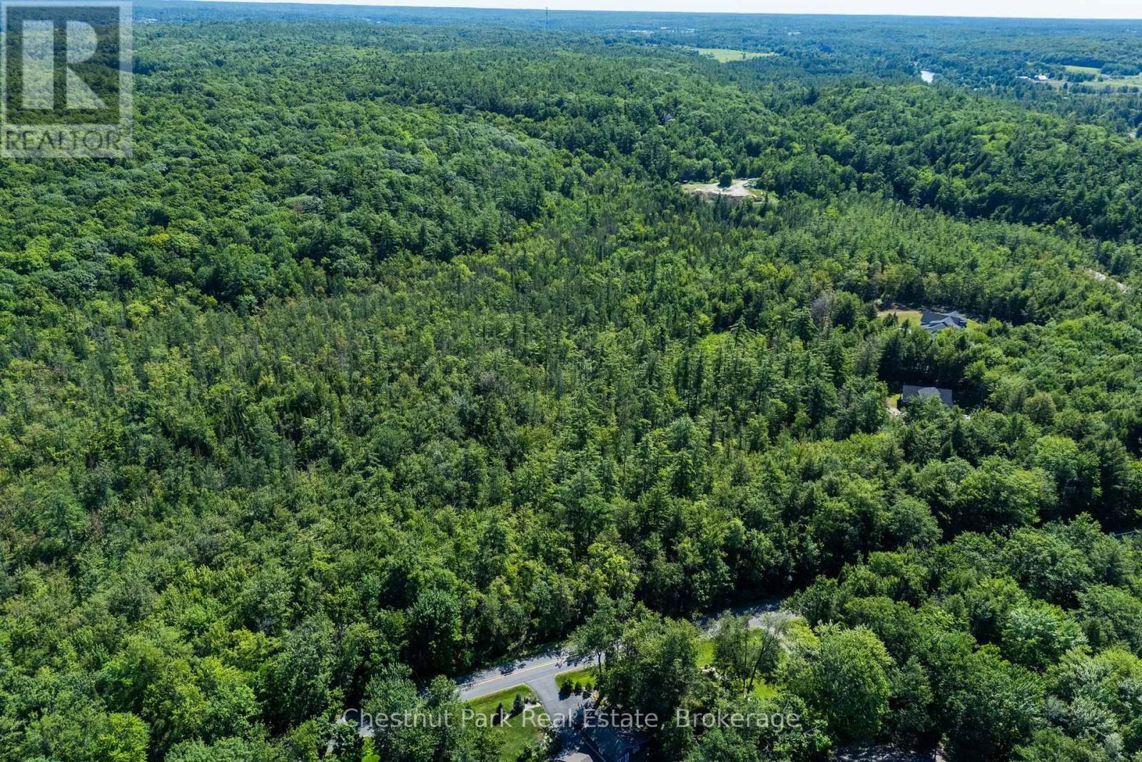 1461 Golden Beach Road, Bracebridge, Ontario  P1L 1W8 - Photo 7 - X13627546
