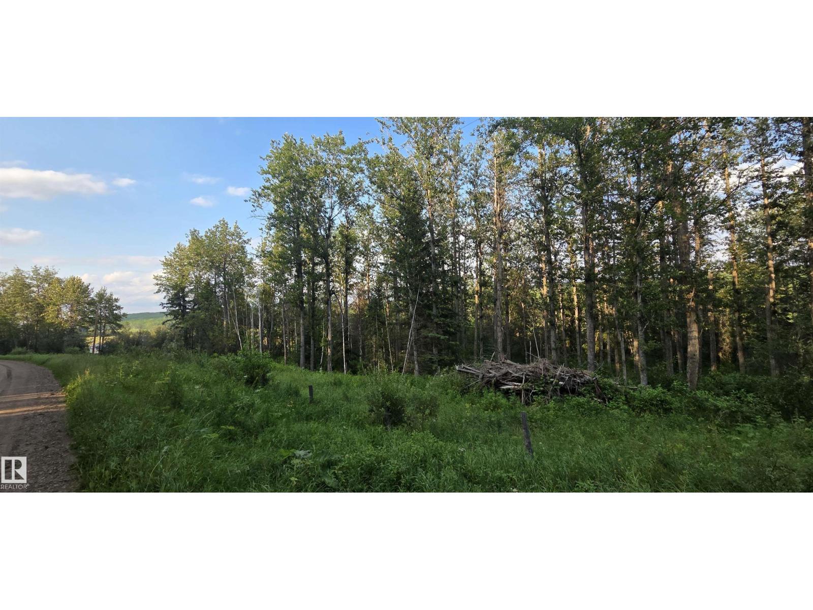 Sw-36-61-19-4 (S Of Long Lake), Rural Thorhild County, Alberta  T0A 3J0 - Photo 26 - E4501697