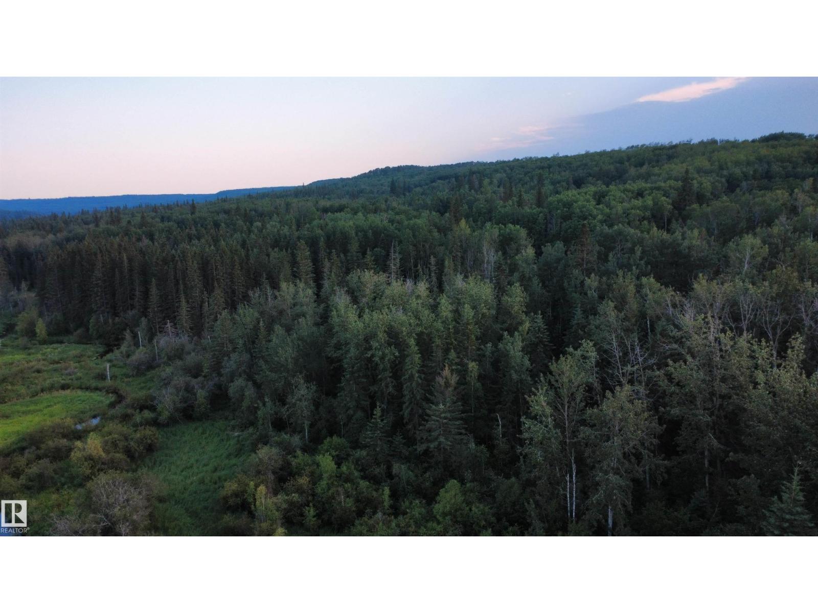 Sw-36-61-19-4 (S Of Long Lake), Rural Thorhild County, Alberta  T0A 3J0 - Photo 14 - E4501697