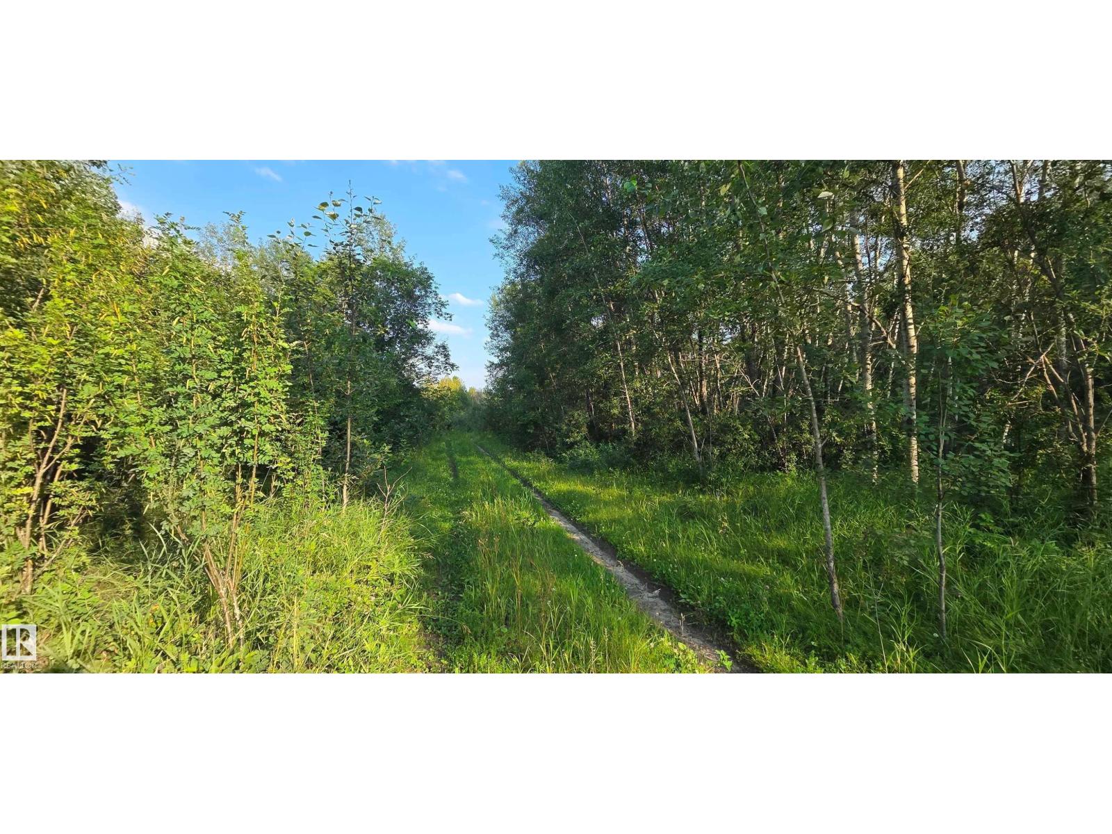 Sw-36-61-19-4 (S Of Long Lake), Rural Thorhild County, Alberta  T0A 3J0 - Photo 21 - E4501697