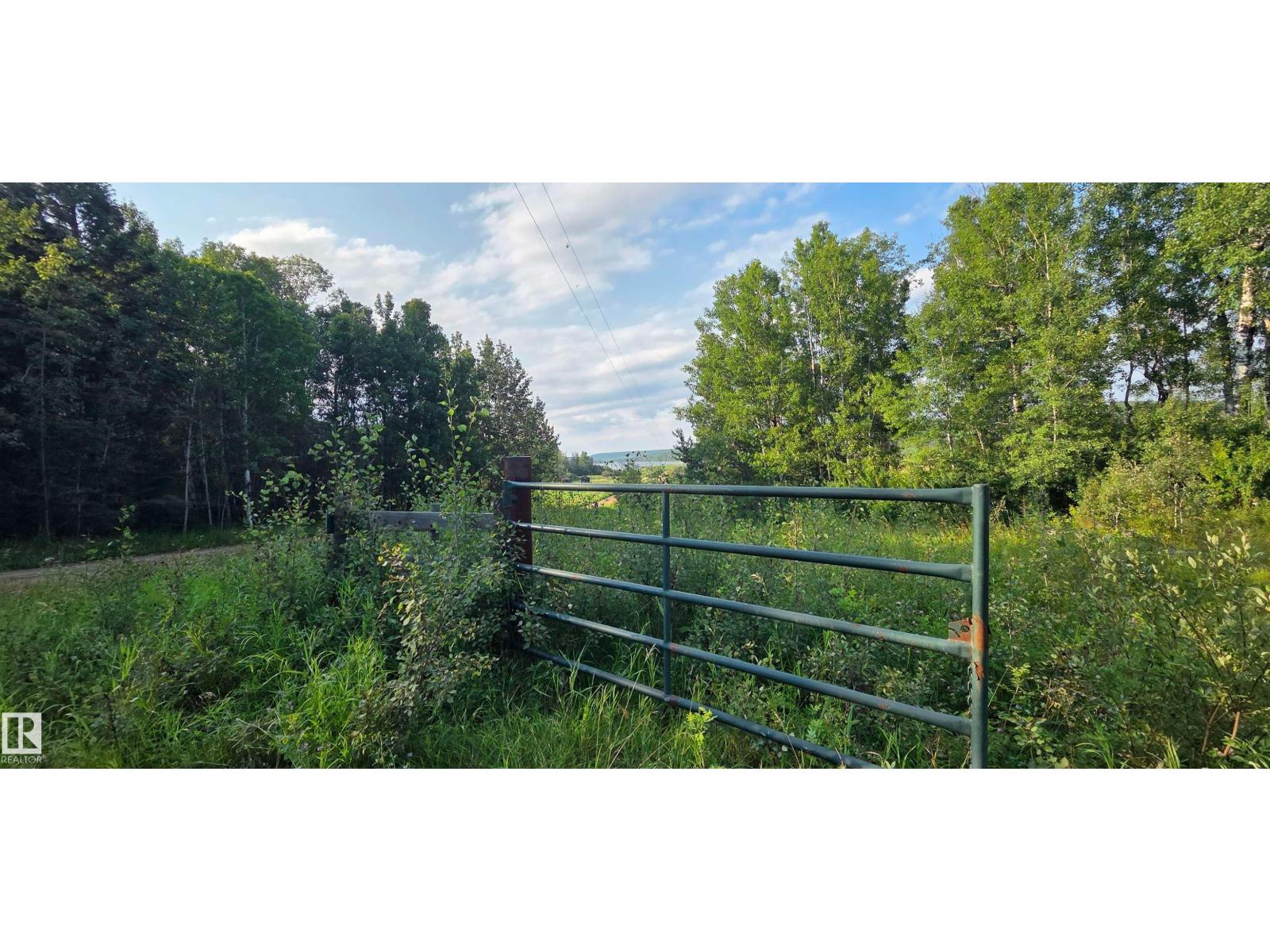 Sw-36-61-19-4 (S Of Long Lake), Rural Thorhild County, Alberta  T0A 3J0 - Photo 25 - E4501697