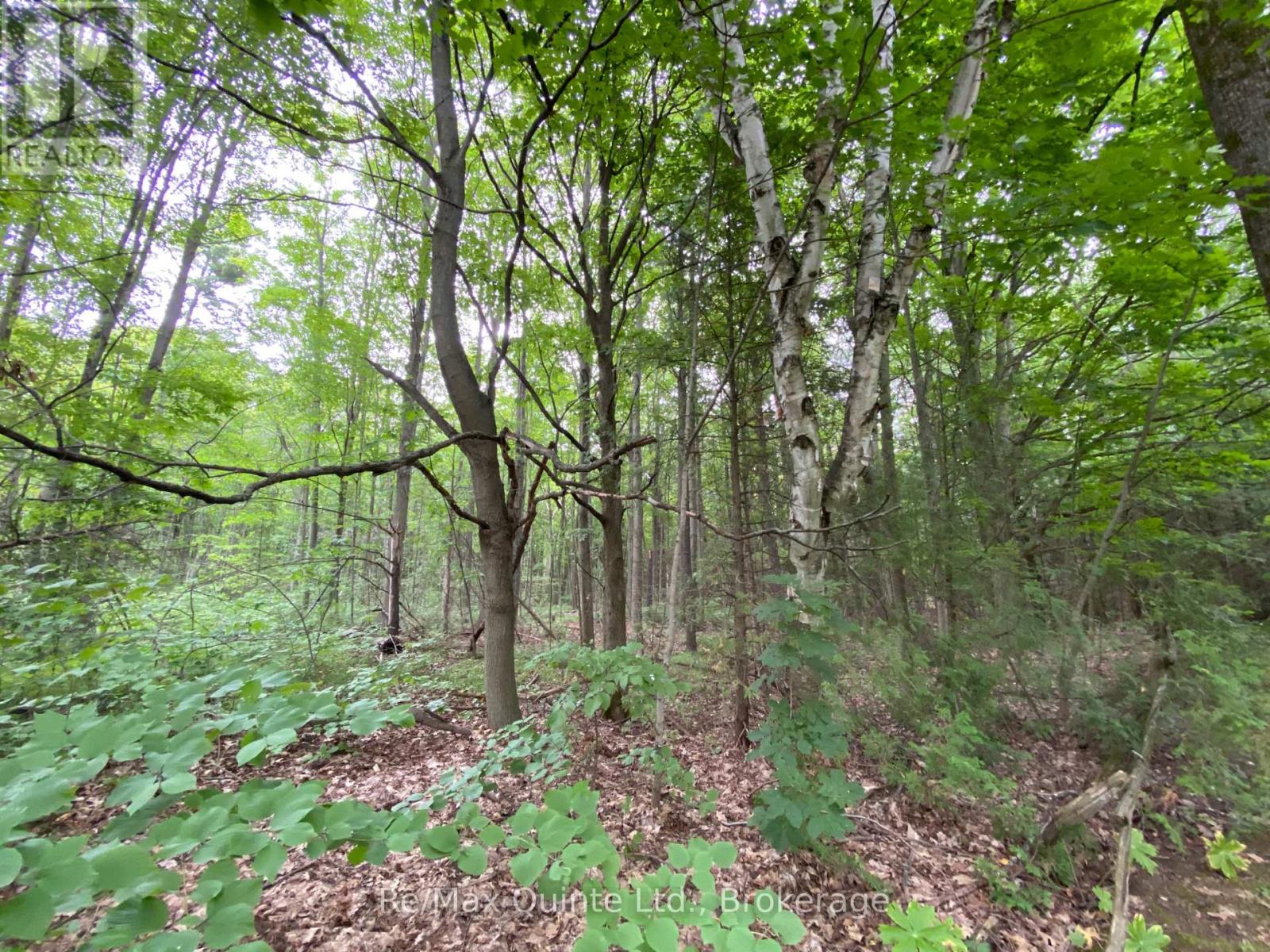0 County Rd 30, Brighton, Ontario  K0K 1H0 - Photo 2 - X13627592