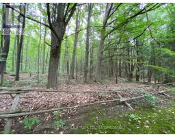 0 COUNTY RD 30, Brighton, Ontario