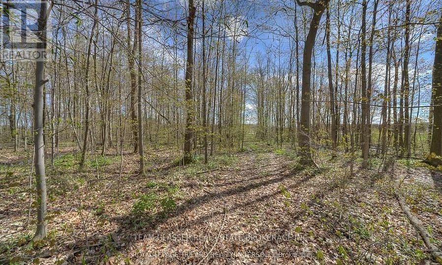 315529 31st Line, Zorra, Ontario  N0J 1J0 - Photo 3 - X13627574