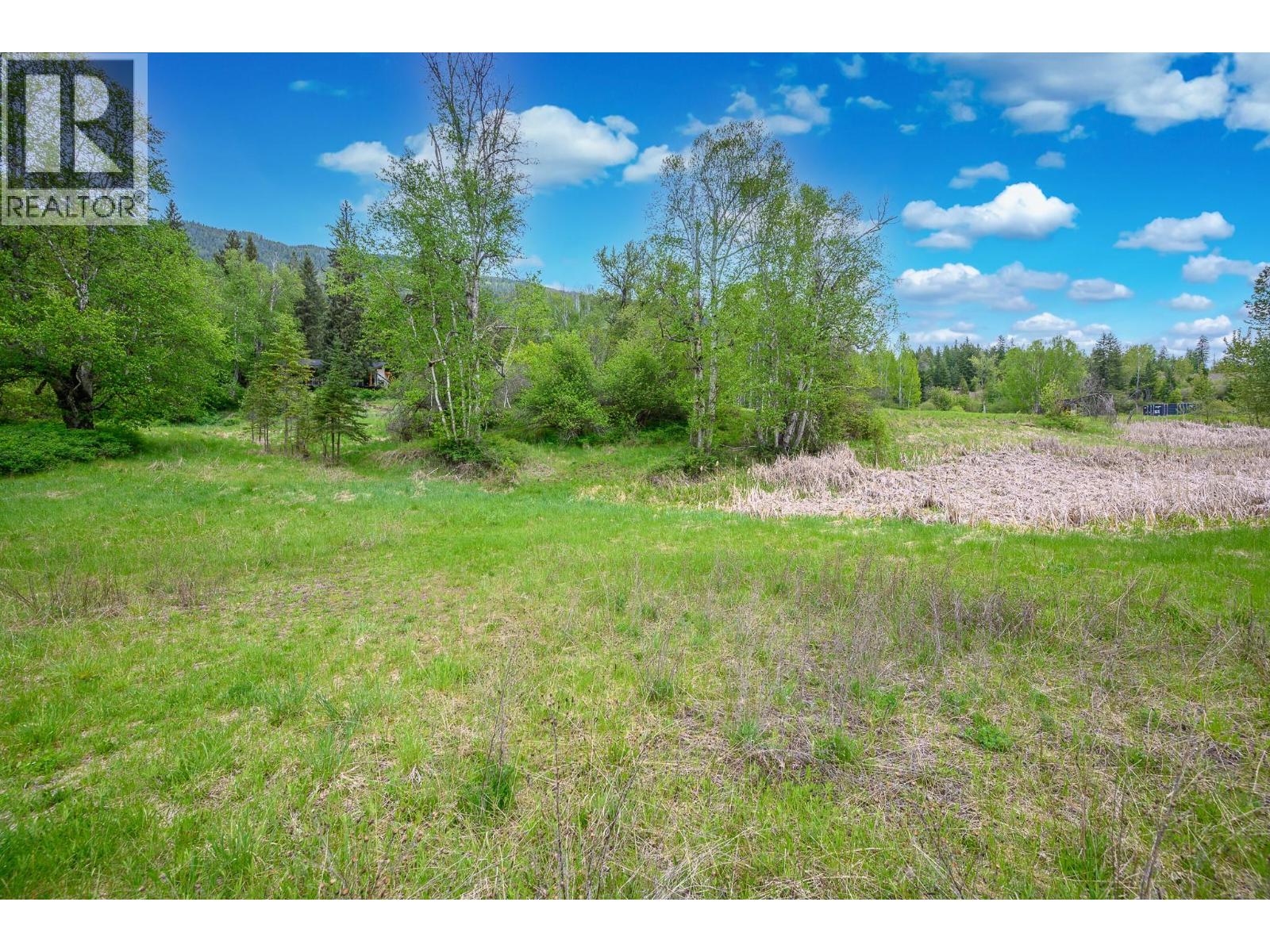 522 North Fork Road, Cherryville, British Columbia  V0E 2G0 - Photo 46 - 10387867