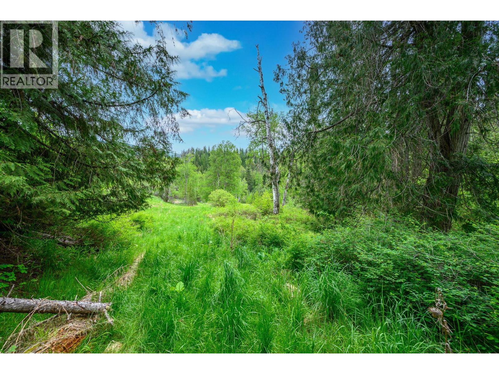 522 North Fork Road, Cherryville, British Columbia  V0E 2G0 - Photo 66 - 10387867