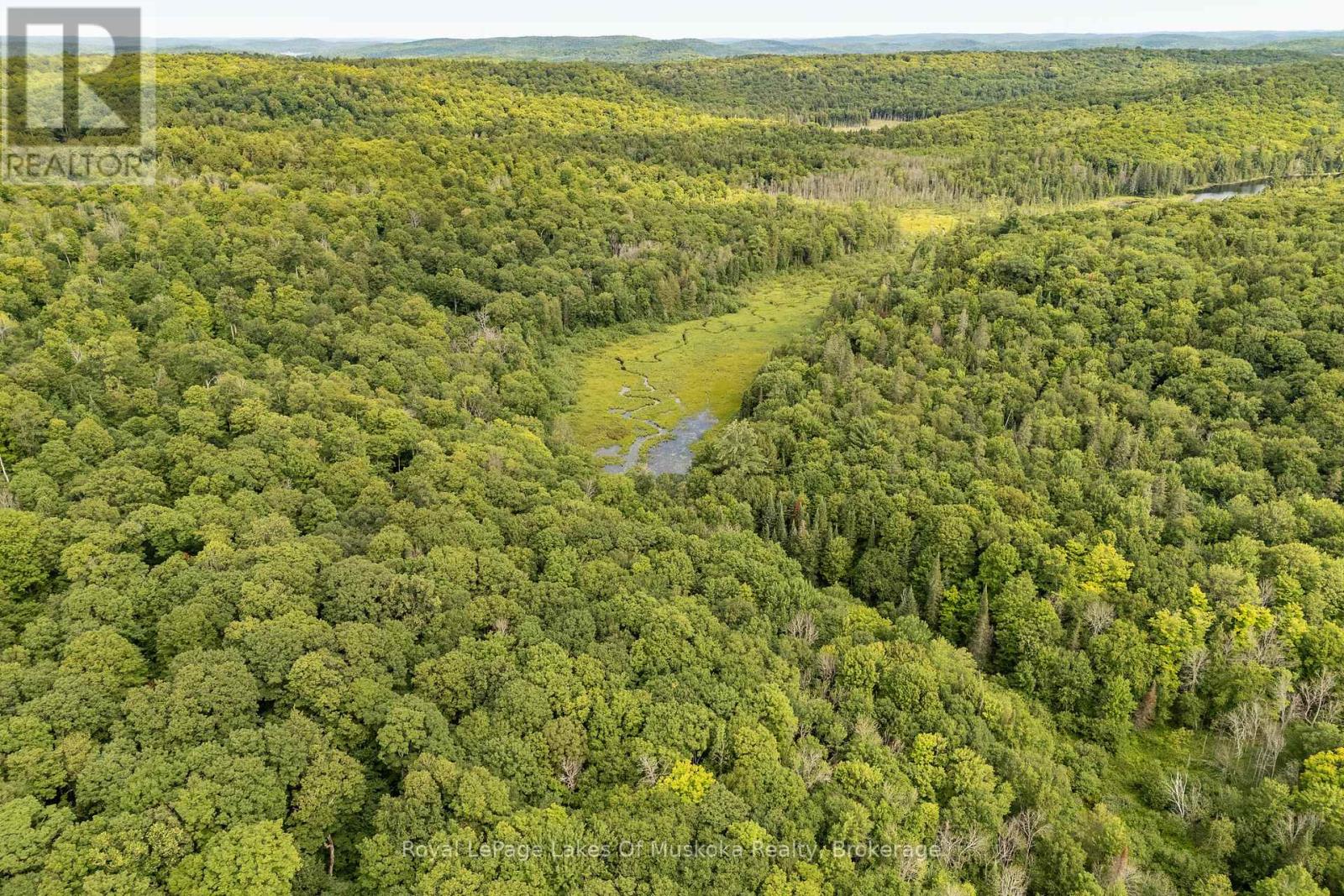 1099 Wolfkin Lake Road, Lake Of Bays, Ontario  P0B 1A0 - Photo 35 - X13627660