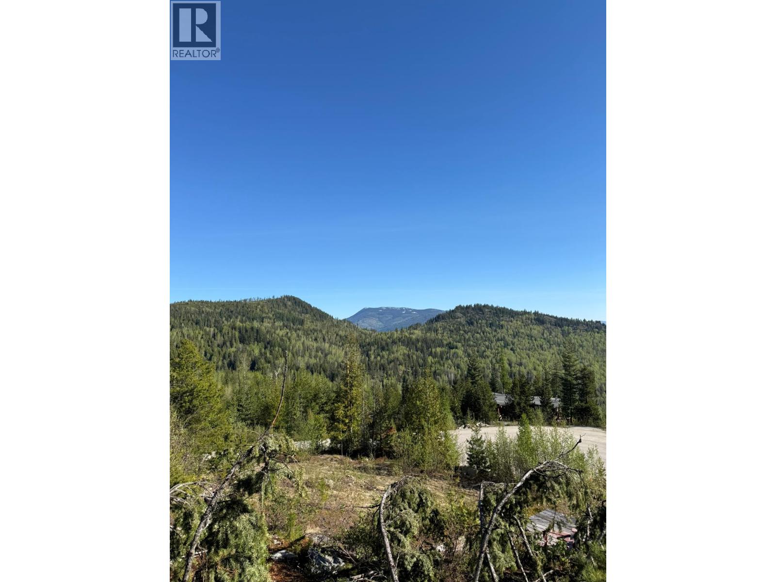 Lot C Richie Road, Rossland, British Columbia V0G 1Y0 - Photo 10 - 10396602