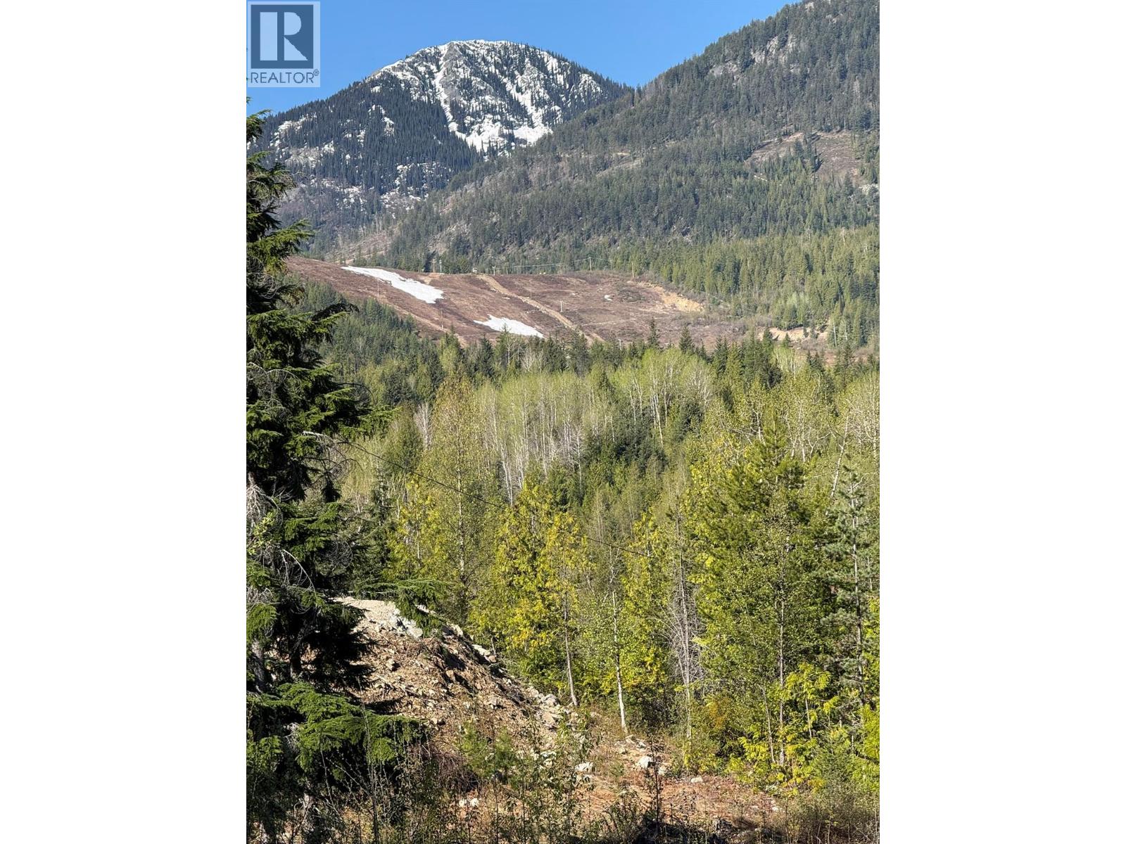 Lot C Richie Road, Rossland, British Columbia V0G 1Y0 - Photo 14 - 10396602