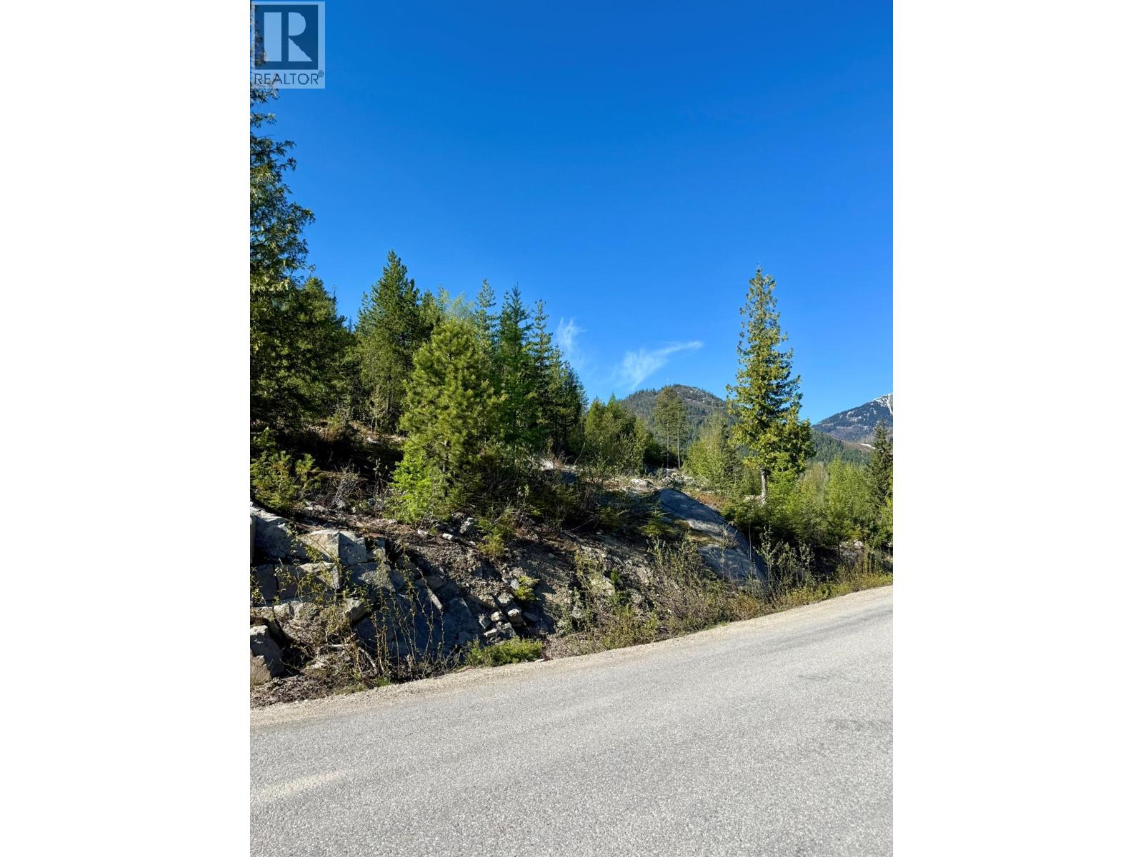 Lot C Richie Road, Rossland, British Columbia V0G 1Y0 - Photo 16 - 10396602