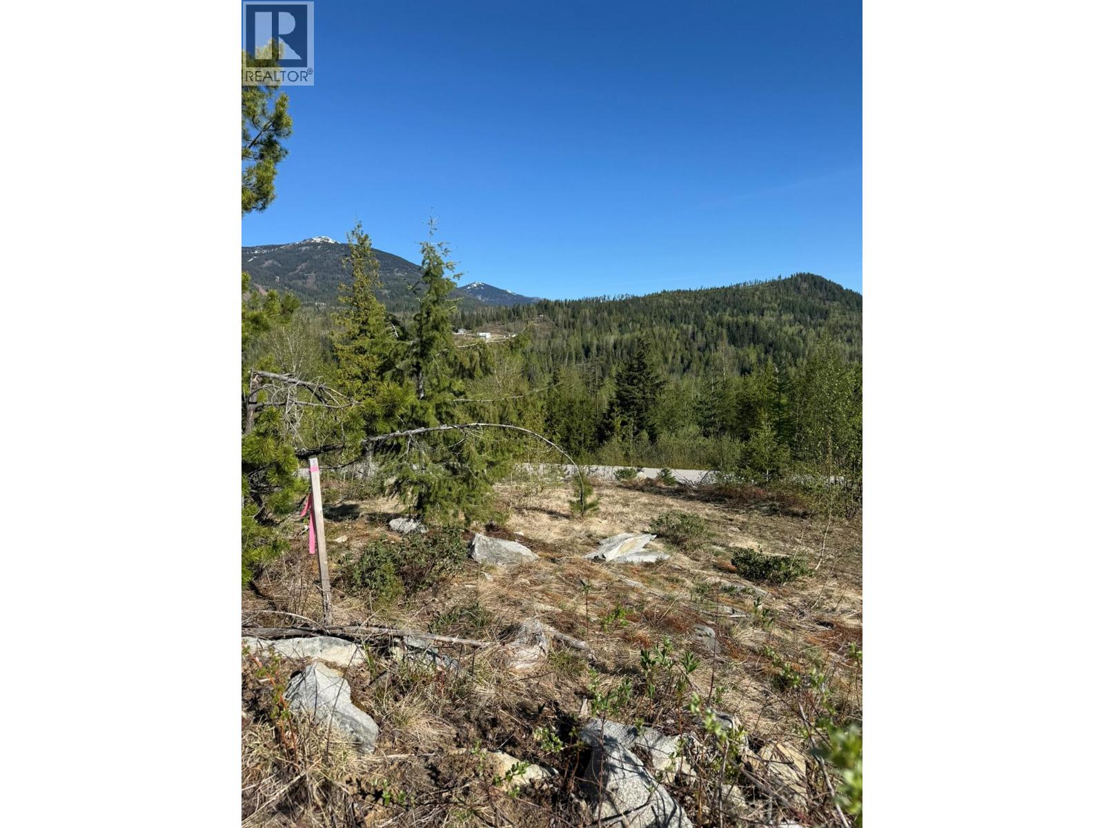 Lot C Richie Road, Rossland, British Columbia V0G 1Y0 - Photo 4 - 10396602