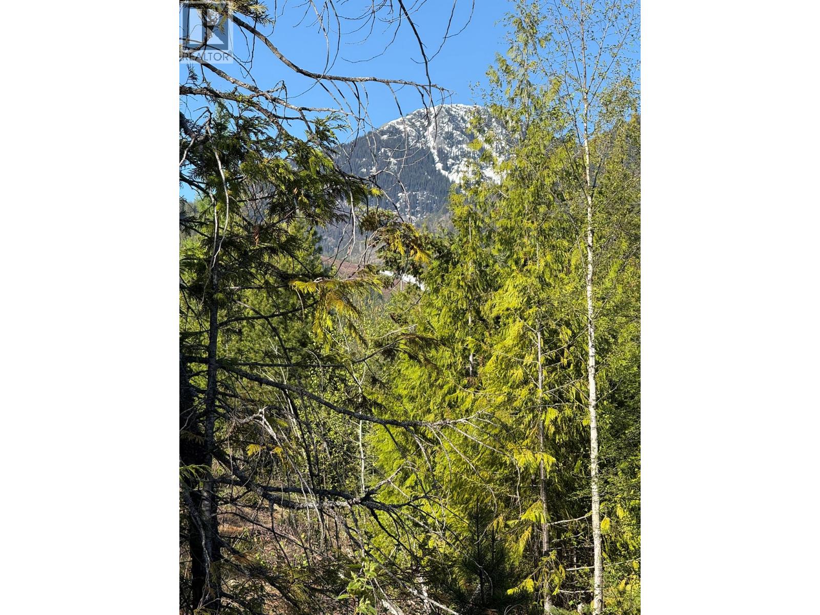 Lot C Richie Road, Rossland, British Columbia V0G 1Y0 - Photo 5 - 10396602