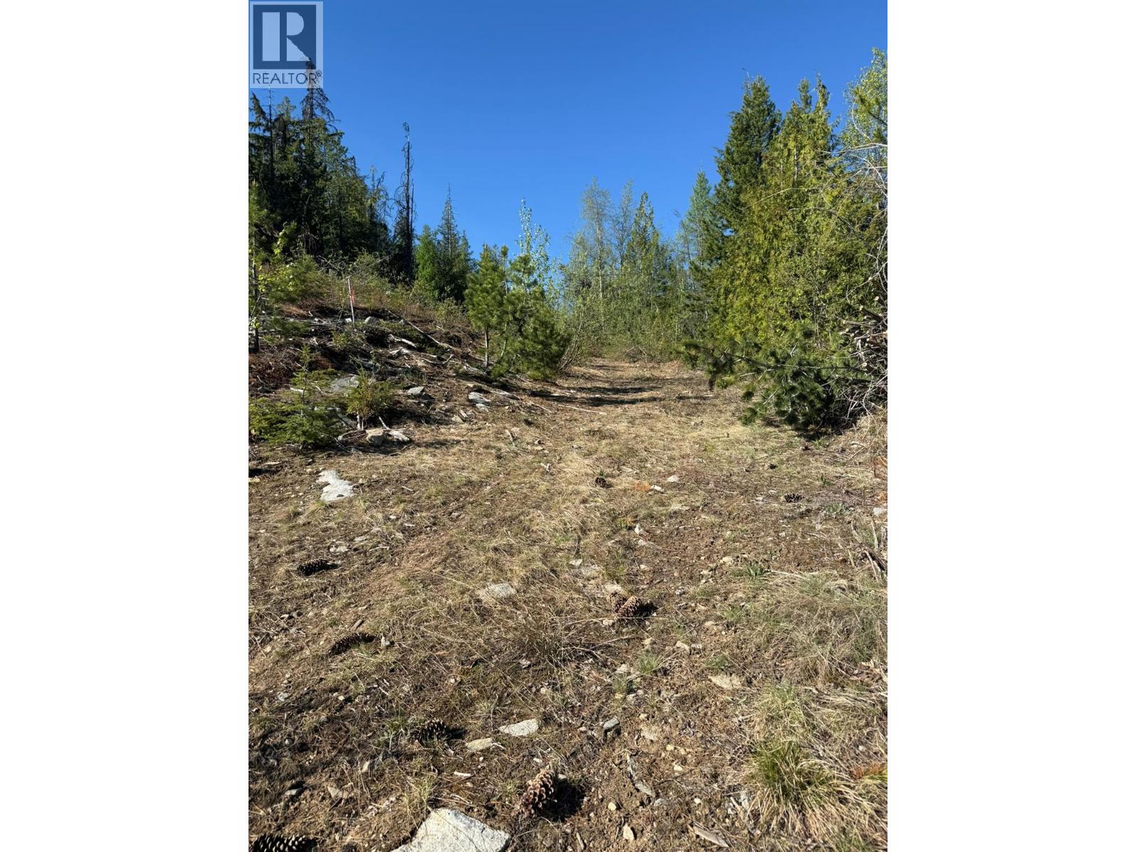 Lot C Richie Road, Rossland, British Columbia V0G 1Y0 - Photo 6 - 10396602